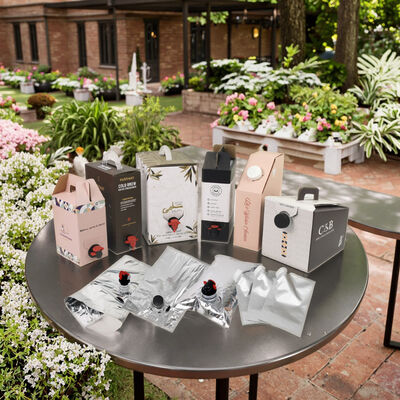 Özel BIB torbaları Katkı Aletleri ile Kutu şarap suyu yağı ve diğer sıvı ürünleri paketlemek için ideal