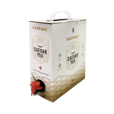 Özel 1L 1.5L 2 Litre 3L 5L 96OZ BIB TORBA Tek Kullanımlık Torba Kutuda ÇayMeyve Suyu Kahve Paket Servis Kağıt Kutu Ambalajı Dağıtıcı ile