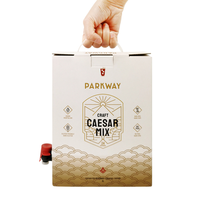 Özel 1L 1.5L 2 Litre 3L 5L 96OZ BIB TORBA Tek Kullanımlık Torba Kutuda ÇayMeyve Suyu Kahve Paket Servis Kağıt Kutu Ambalajı Dağıtıcı ile