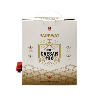 Özel 1L 1.5L 2 Litre 3L 5L 96OZ BIB TORBA Tek Kullanımlık Torba Kutuda ÇayMeyve Suyu Kahve Paket Servis Kağıt Kutu Ambalajı Dağıtıcı ile