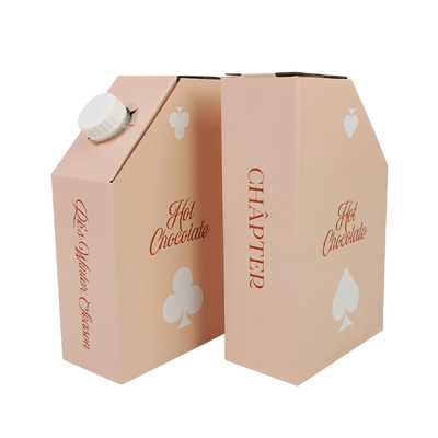Özel 1L 1.5L 2 Litre 3L 5L 96OZ BIB TORBA Tek Kullanımlık Torba Kutuda ÇayMeyve Suyu Kahve Paket Servis Kağıt Kutu Ambalajı Dağıtıcı ile