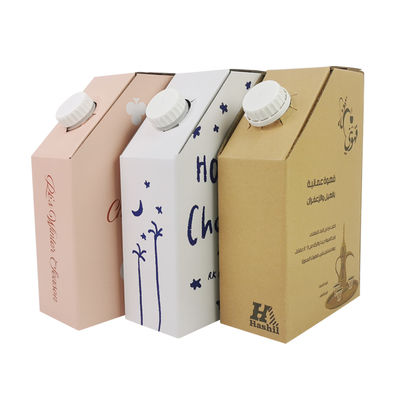 Plastik BIB (Bag in Box) 1L Sıcak Kahve Kutusu Sıvı Ambalajı