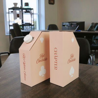 ISO SGS Sertifikalı Bag In Box Özel Baskılı Kare Dikdörtgen Ambalaj Teklifi ve Güvenli Sıvı Depolama Çözümleri